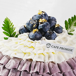 블루베리 케이크